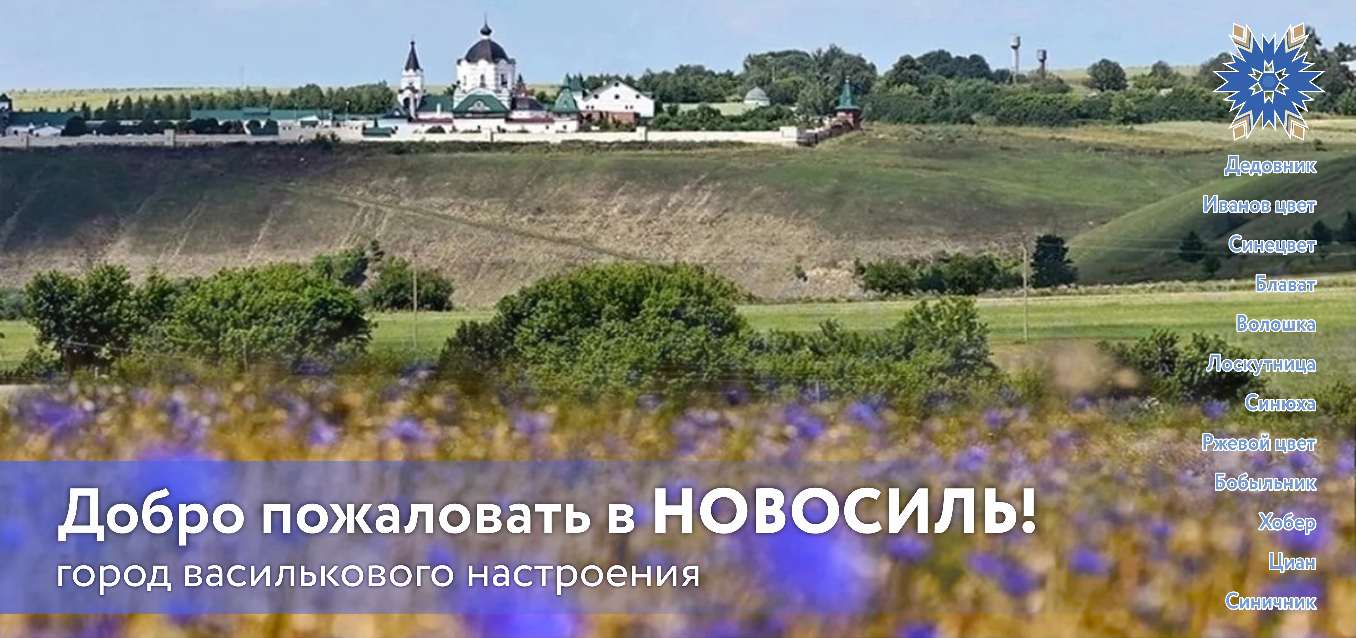 Васильковый Новосиль